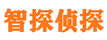 沧县外遇调查取证